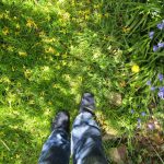 Sind Barfußschuhe das Richtige für dich? Mit Barfußschuhen unterwegs im Frühling